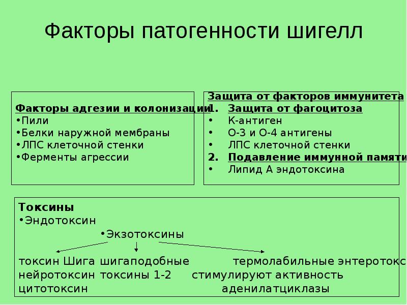 Фактор 21