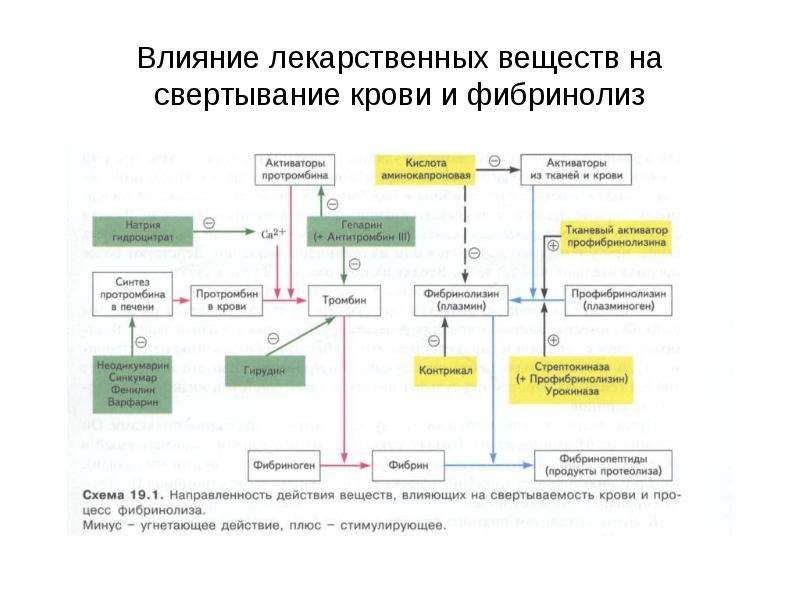 Презентация лекарственные средства влияющие на систему крови