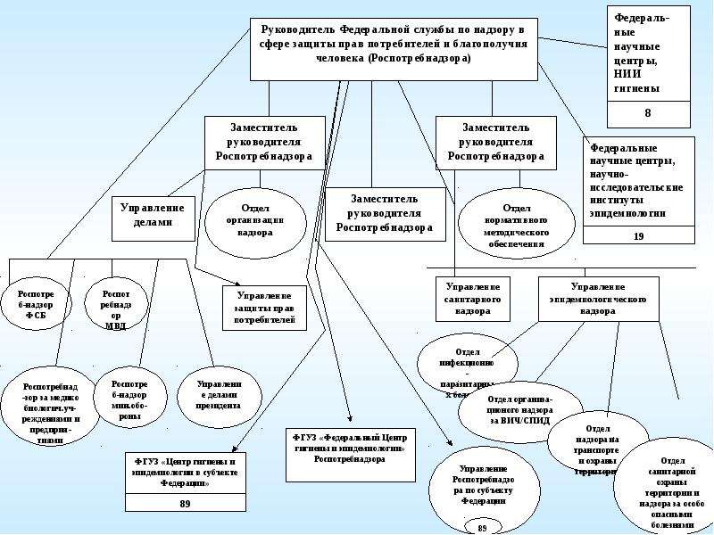 Схема противоэпидемических мероприятий в очаге инфекции