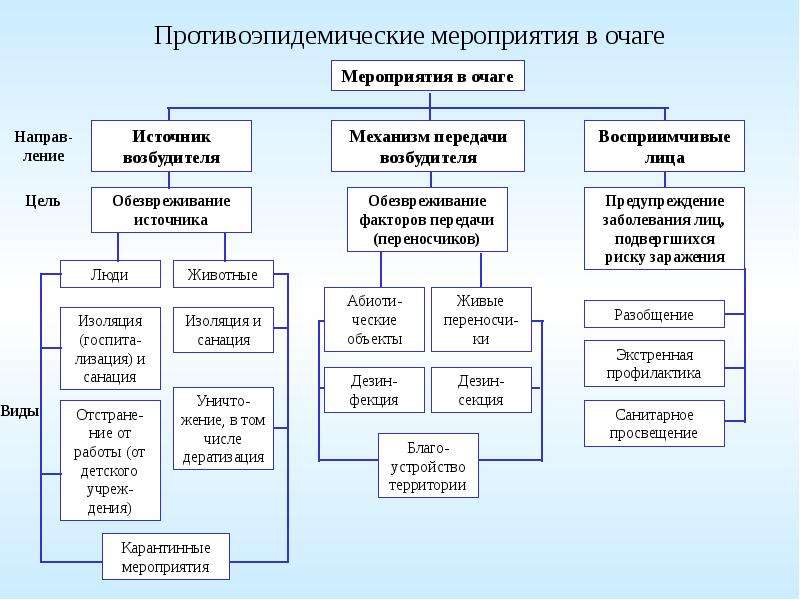 План противоэпидемических мероприятий в очаге при кори