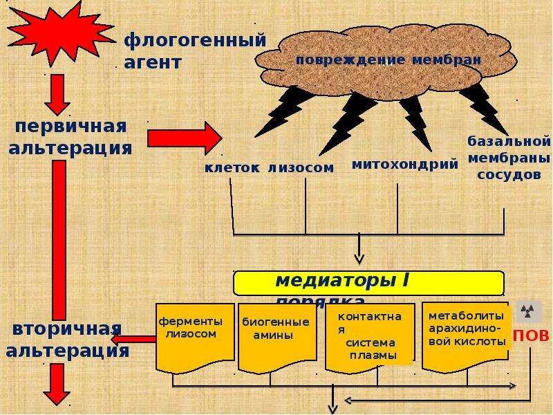 Воспаление патофизиология презентация