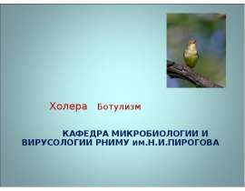 Холера Ботулизм