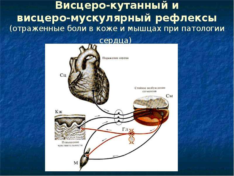 Патофизиология нервной системы презентация