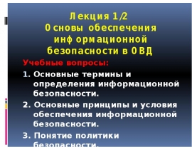 Основы обеспечения информационной безопасности в ОВД