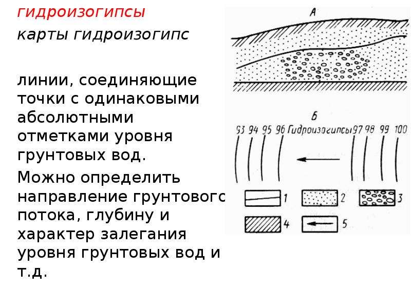 Карта гидроизогипс грунтовых вод