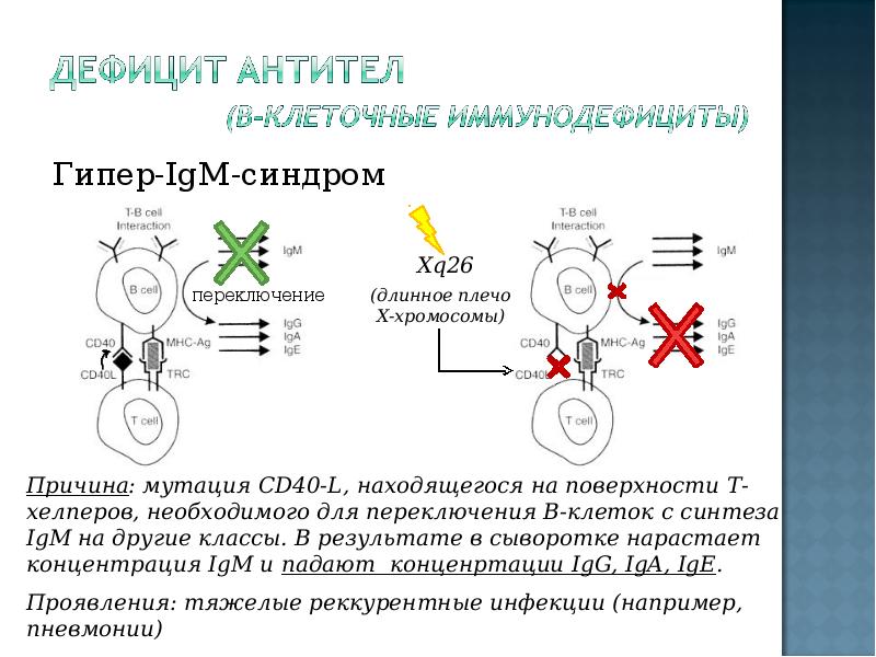 Гипер igm синдром презентация