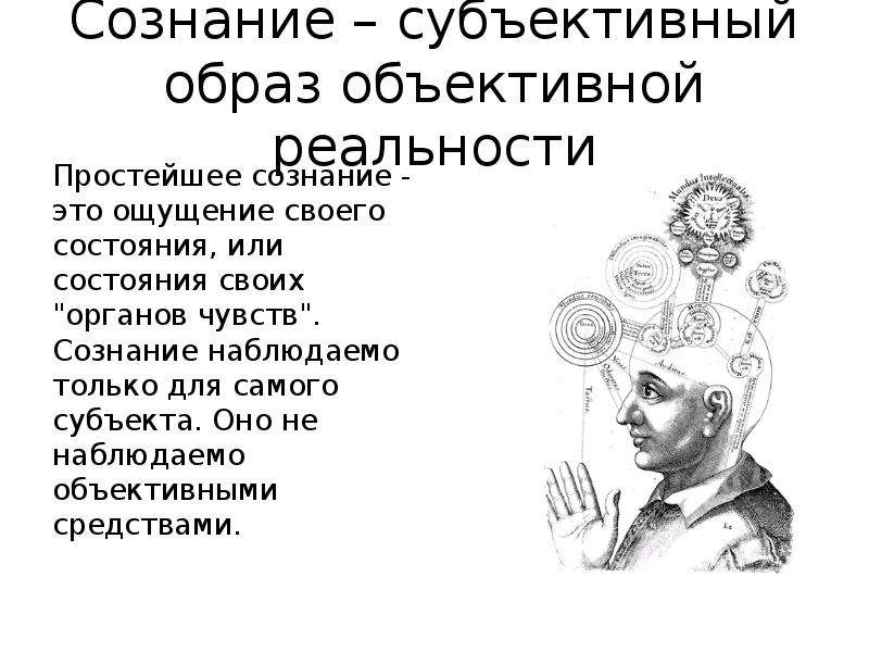 Объективная реальность человека. Субъективный образ объективного мира. Сознание это образ объективного. Объективное и субъективное сознание.