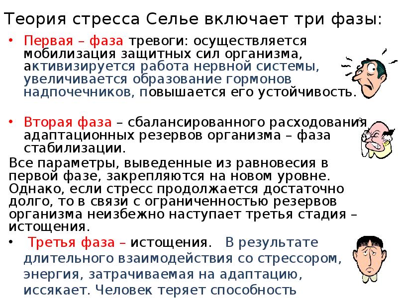 В схеме г селье автором описана такая последовательность протекания стресса