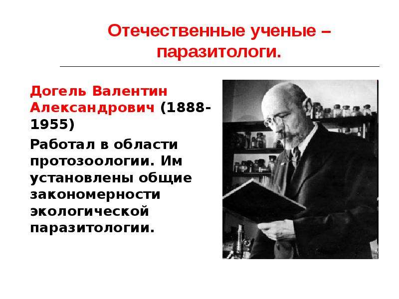 Отечественные ученые. Валентин Александрович Догель. Ученый Догель. Догель Валентин Александрович вклад в паразитологию. Отечественные ученые паразитологи.