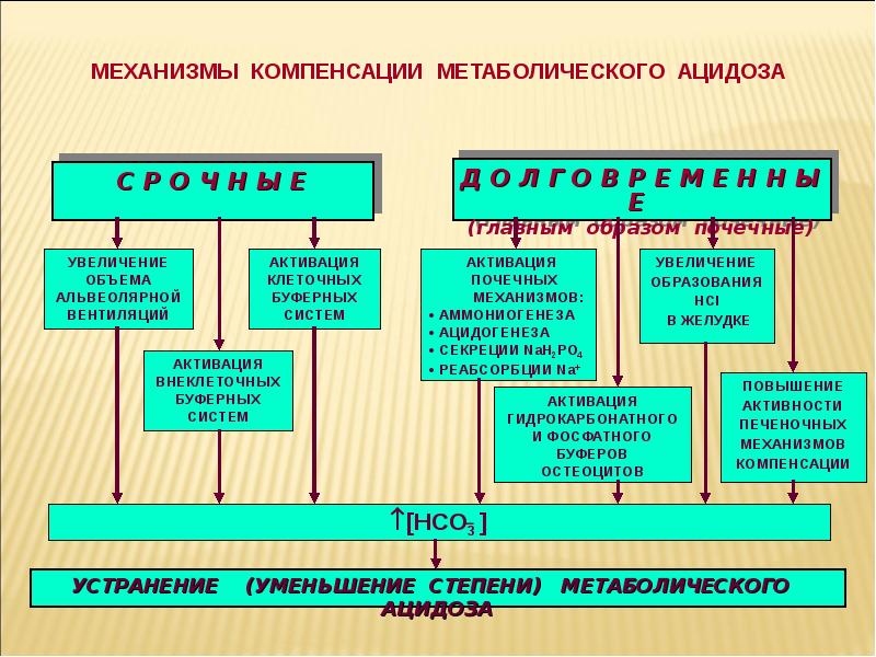 Механизмы компенсации. Механизмы компенсации метаболического ацидоза. Механизм развития метаболического ацидоза. Механизмы компенсации нарушений кислотно-основного состояния. Механизмы компенсации газового ацидоза.