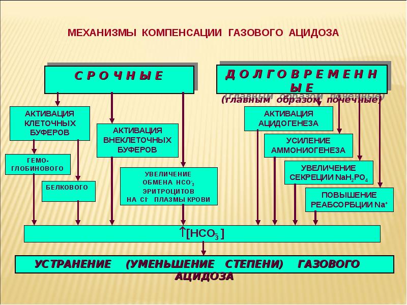 Развитие негазового ацидоза при почечной недостаточности схема