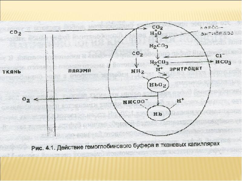 Схема гемоглобиновый буфер