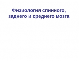 Физиология заднего мозга