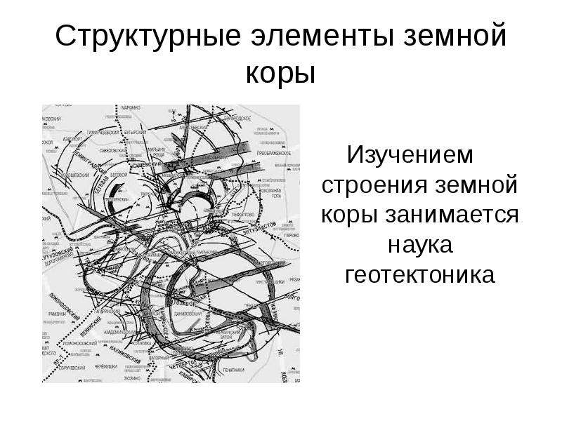 Структурные элементы коры