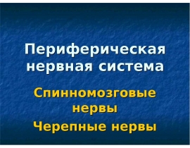 Периферическая нервная система