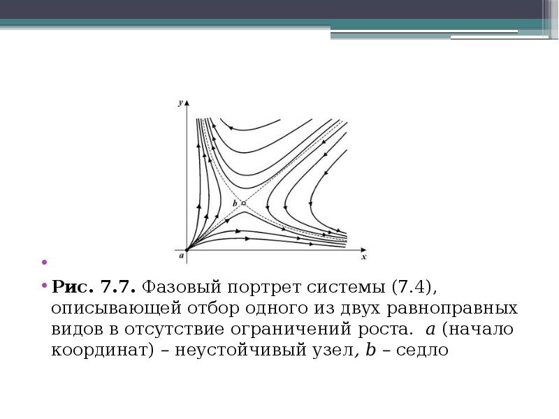 Фазовый портрет. 