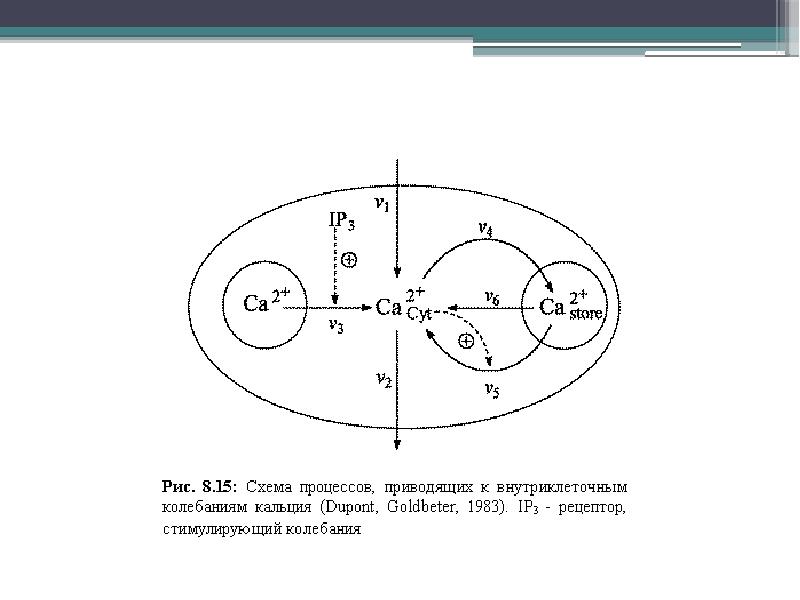 Пять схема