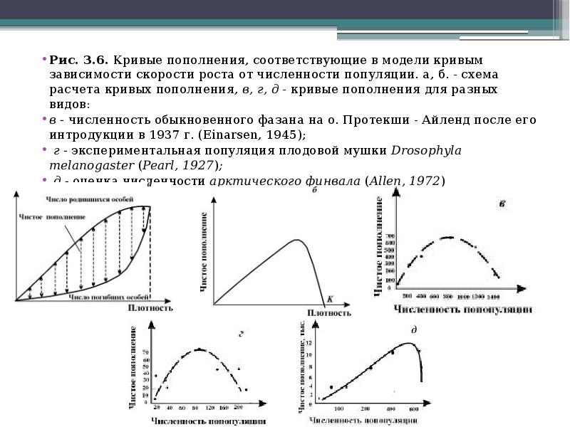 Математические кривые проект