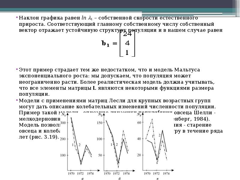 С помощью чего могут быть реализованы компьютерные математические модели