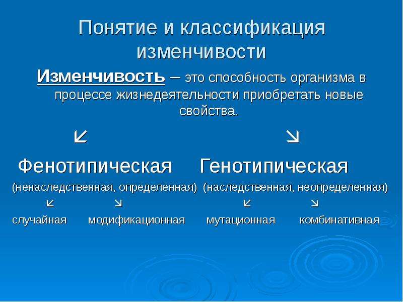 Вероятность случайная изменчивость