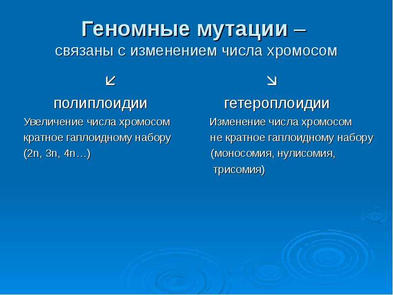 Кратное гаплоидному увеличение числа хромосом