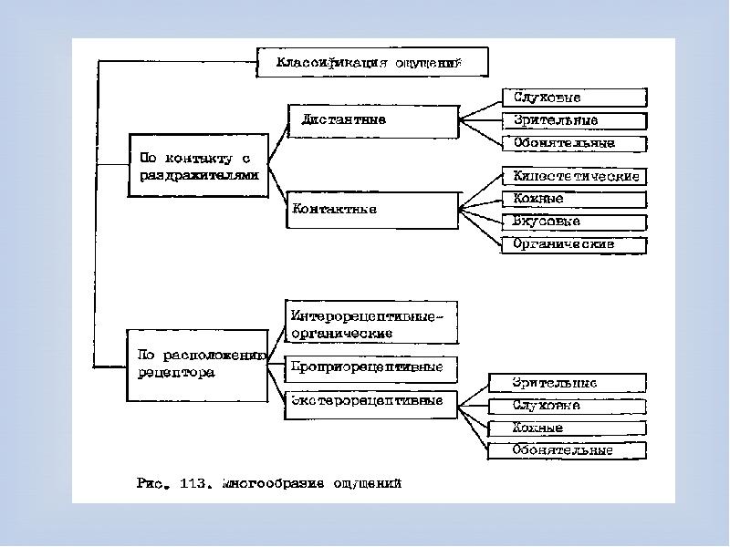 Классификация ощущений в психологии схема