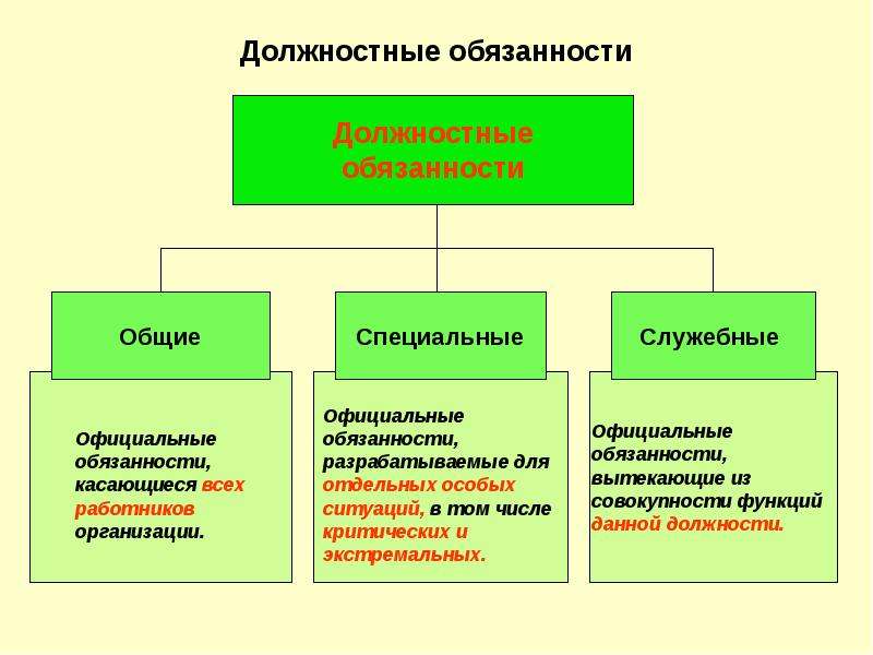 Схема обязанностей должностных лиц отдела