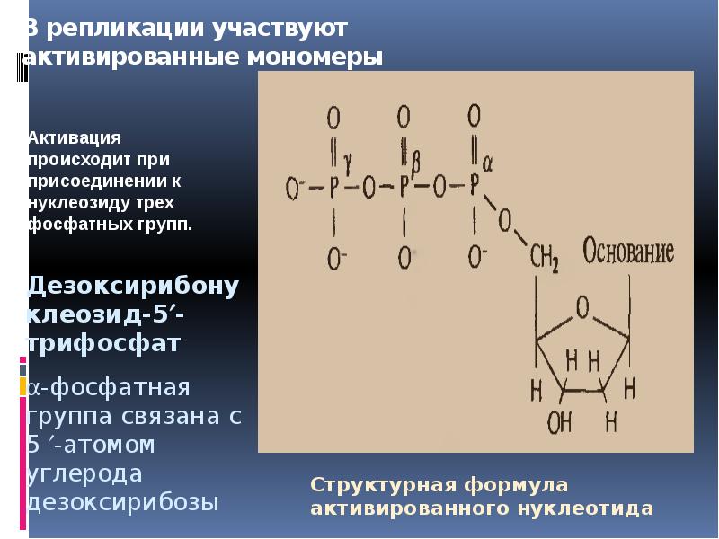 Дезоксирибоза в составе нуклеотида. Дезоксирибоза биологическая роль. Дезоксирибоза трифосфат. Фосфат дезоксирибозы. Восстановление дезоксирибозы.