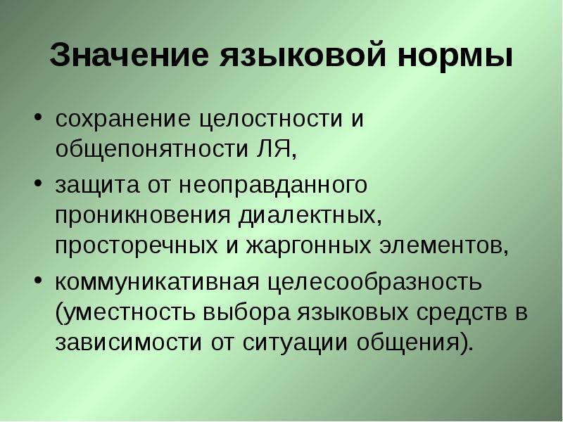 Языковой проект это