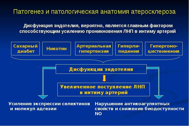 Ибс патологическая анатомия презентация