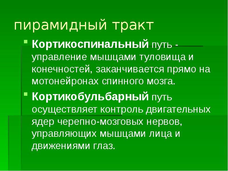 Заканчиваться прямо. Кортикоспинальные пути (пирамидный тракт приматов). Кортикоспинальный пирамидный путь. Кортико спинальный тракт. Кортико-спинальный путь.