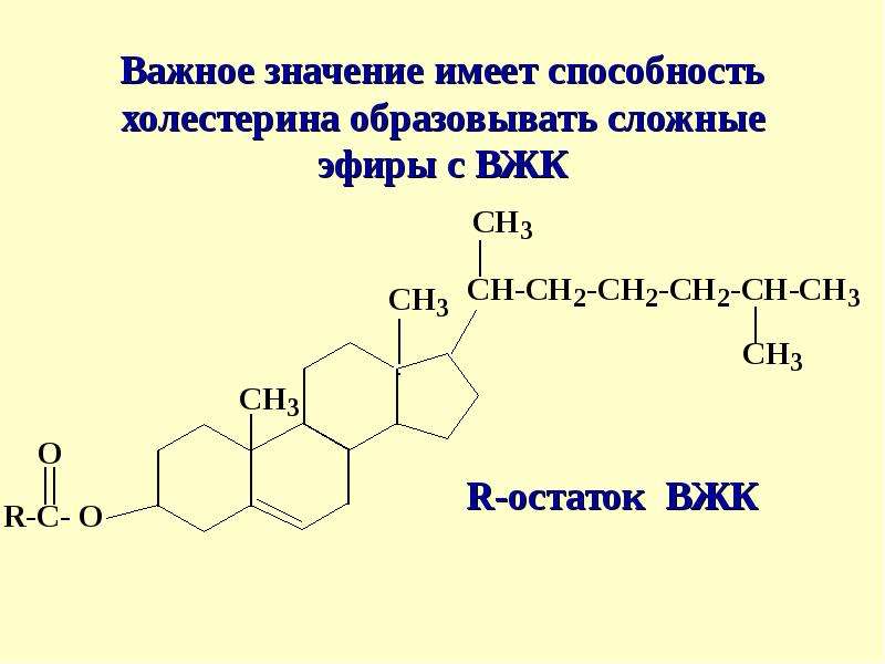 Между курсами