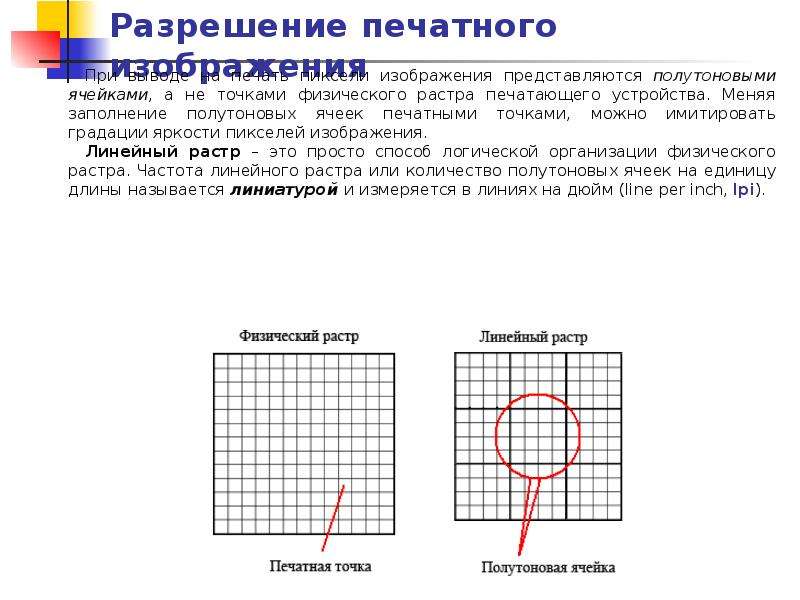 Физическая точка