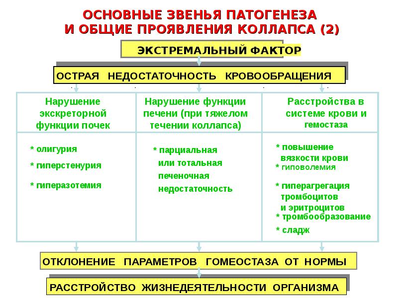 Важное звено. Основное звено патогенеза коллапса. Патогенез коллапса патофизиология. Основной механизм развития коллапса. Основные причины развития коллапса.