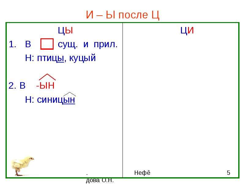 Куцый в суффиксе прилагательных после ц пишется. Правописание и ы после ц. И Ы после ц. Правописание гласных и ы после ц. Слова с цы и Ци список.