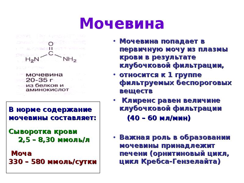 Мочевина в крови 40. Мочевина (urea) в крови. Мочевина 6,6. Функции мочевины в организме. Роль мочевины в организме.