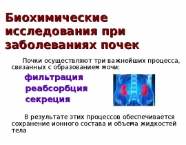Биохимические исследования при заболеваниях почек