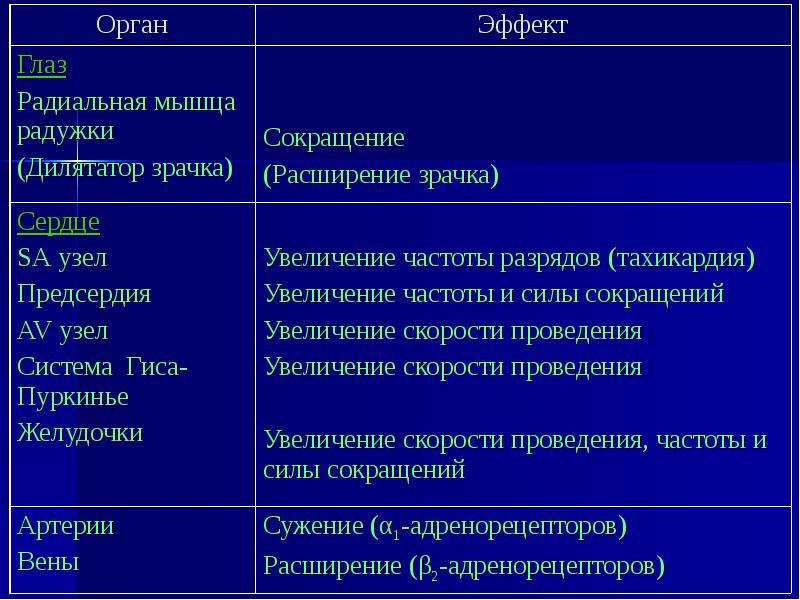 Адренергические средства (АС), слайд 12