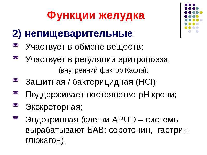 Три функции желудка. Пищеварительные и непищеварительные функции желудка. Непищеварительные функции желудка. Функции желудка. Нептщеварительный функции ЖКТ.