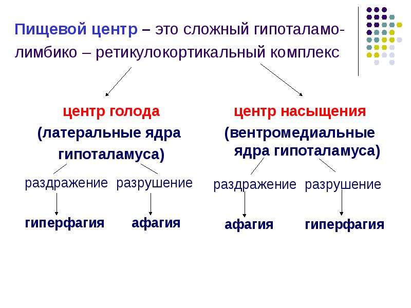 У животного наблюдается гиперфагия раздражение какого отдела мозга дает такую картину