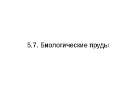 Биологические пруды