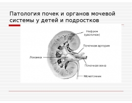 Патология почек и органов мочевой системы у детей и подростков