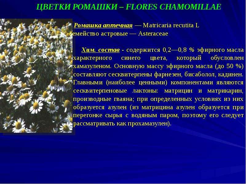 Свойства ромашки аптечной. Ромашка аптечная – Matricaria recutita l. Астровые – Asteraceae. Состав ромашки аптечной. Ромашка состоит. Ромашки аптечной цветки (Chamomillae recutitae Flores).