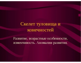 Скелет туловища и конечностей