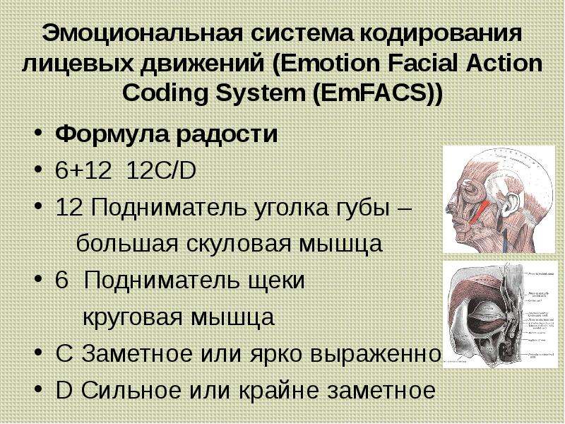 Презентация на тему особенности высшей нервной деятельности человека познавательные процессы