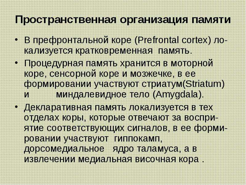 Особенности высшей нервной деятельности презентация 8 класс