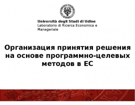 Организация принятия решения на основе программно-целевых методов в ЕС