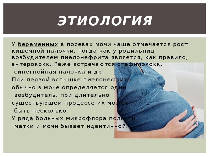 этиология У беременных в посевах мочи чаще отмечается рост кишечной палочки, тогда как у родильниц в