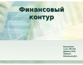 Финансовый контур