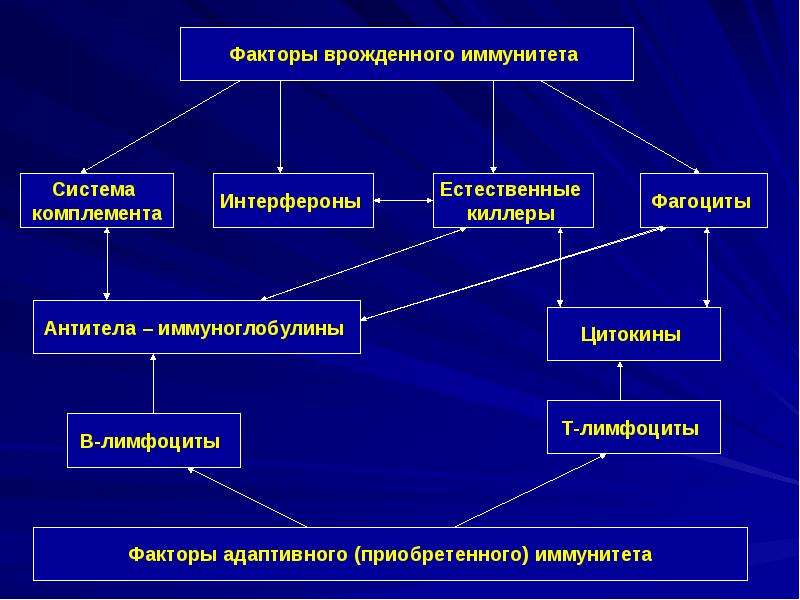 Факторы клетки